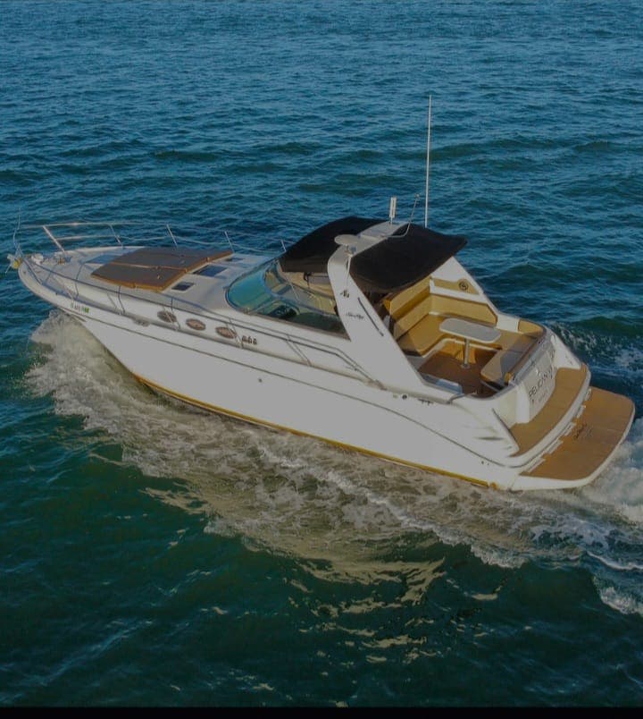 Sea Ray photo 1