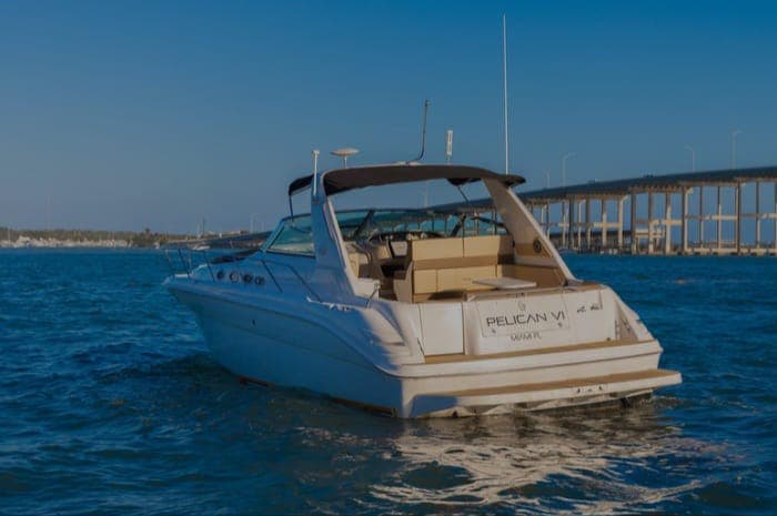 Sea Ray photo 2